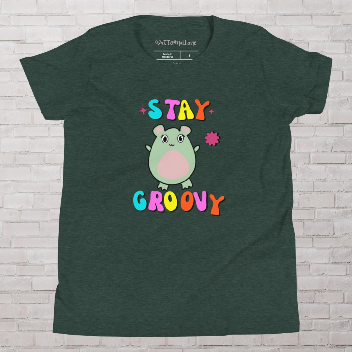 Stay Groovy WaTTerMaLLone Youth Short Sleeve T-Shirt