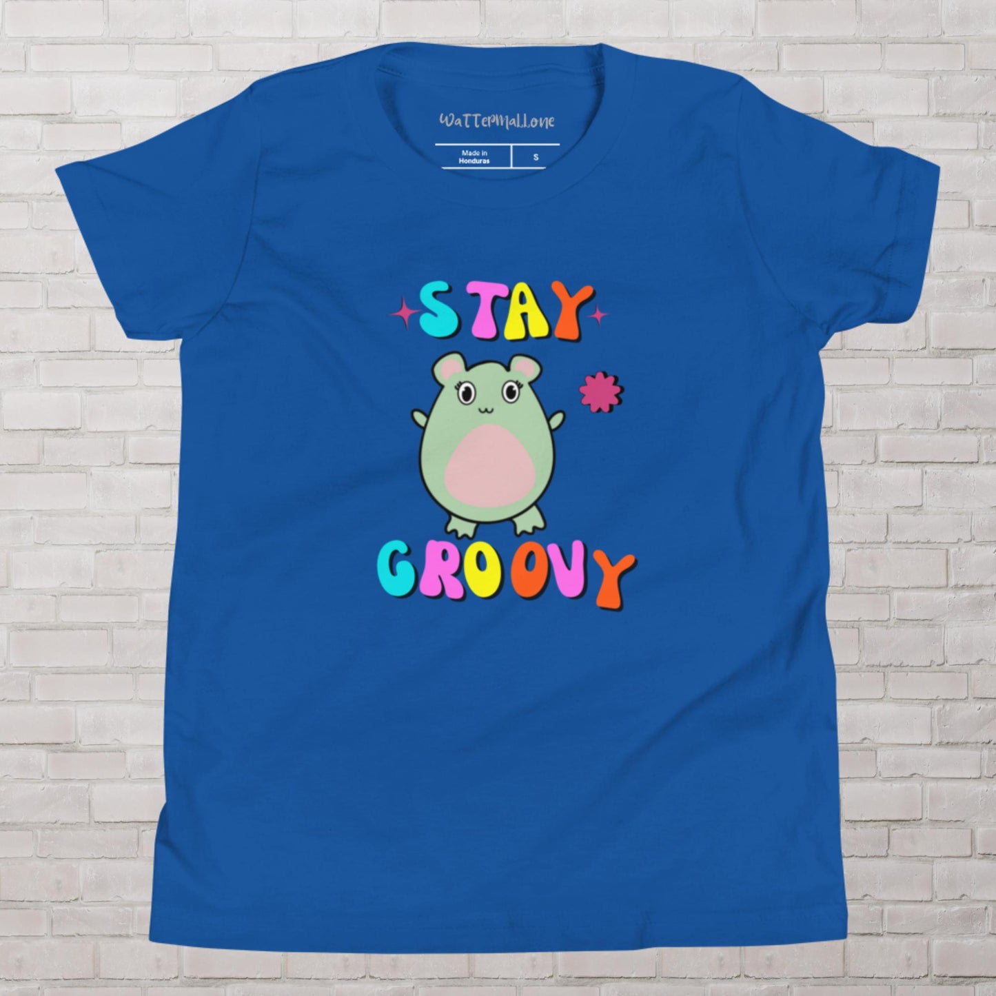 Stay Groovy WaTTerMaLLone Youth Short Sleeve T-Shirt